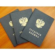 Трудовая книжка, 88х125 мм, ГОЗНАК